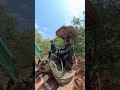 Cuốc đường khai thác điều