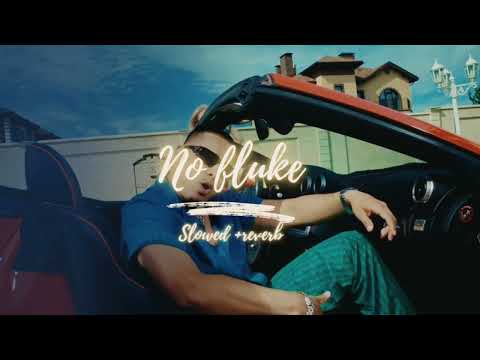 No Fluke (Slowed + Reverb) Dhandanyoliwala | Mr Lofi Maker