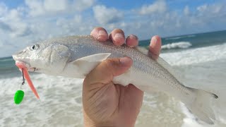 Surf Fishing for Kingfish