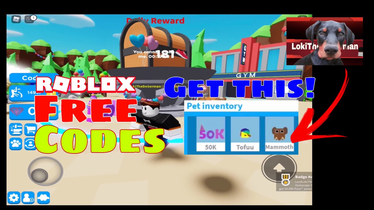 FREE CODES BACKFLIP SIMULATOR By hs rblx FREE PETS FREE Flips Roblox Gameplay Of The Day 