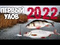 Нашёл место - Плотва Лупит на Каждой проводке!  Открытие сезона 2022 года. Зимняя рыбалка. Мормышка.