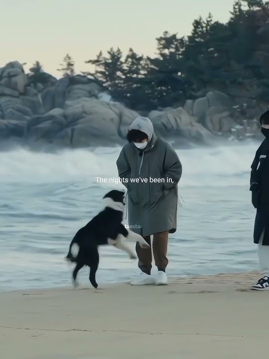 I love this song 😭❤️ #kimtaehyung #taehyung #thv #taeshorts