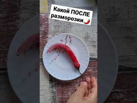Перец чили🌶 после разморозки - ОСТРЫЙ или НЕТ