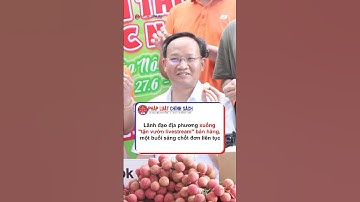 Lãnh đạo địa phương xuống "tận vườn livestream" bán hàng, một buổi sáng chốt đơn liên tục.  #tintuc