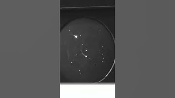 SpaceWars the first ever Video Game #gaming #history