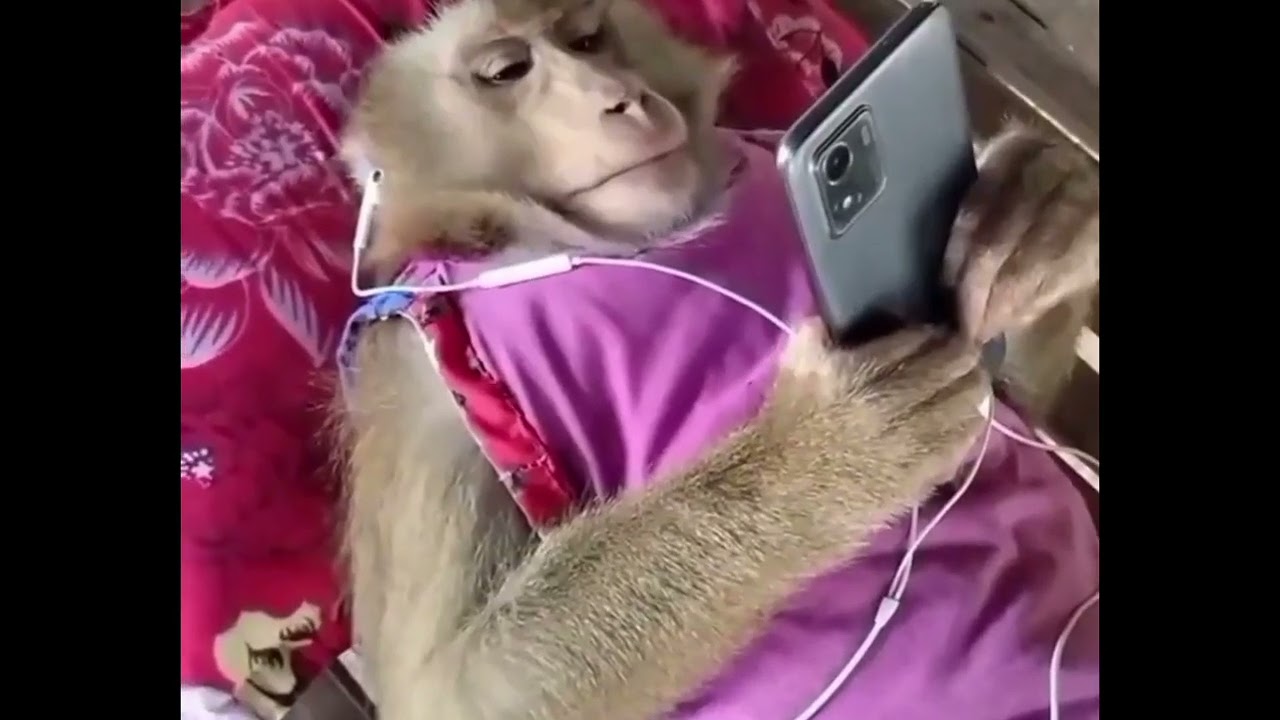 Funny video👍😂😂🤣