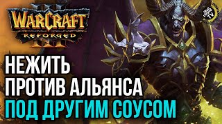 :      : Warcraft 3 Reforged