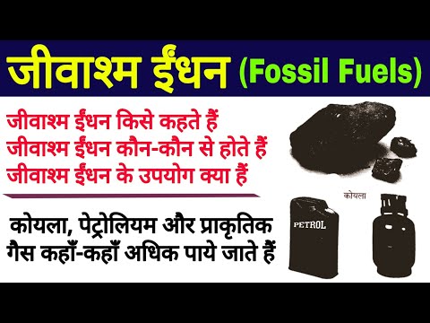 जीवाश्म ईंधन (Fossil Fuels)| jivashm indhan kise kehte hain | fossil fuels in hindi | biology