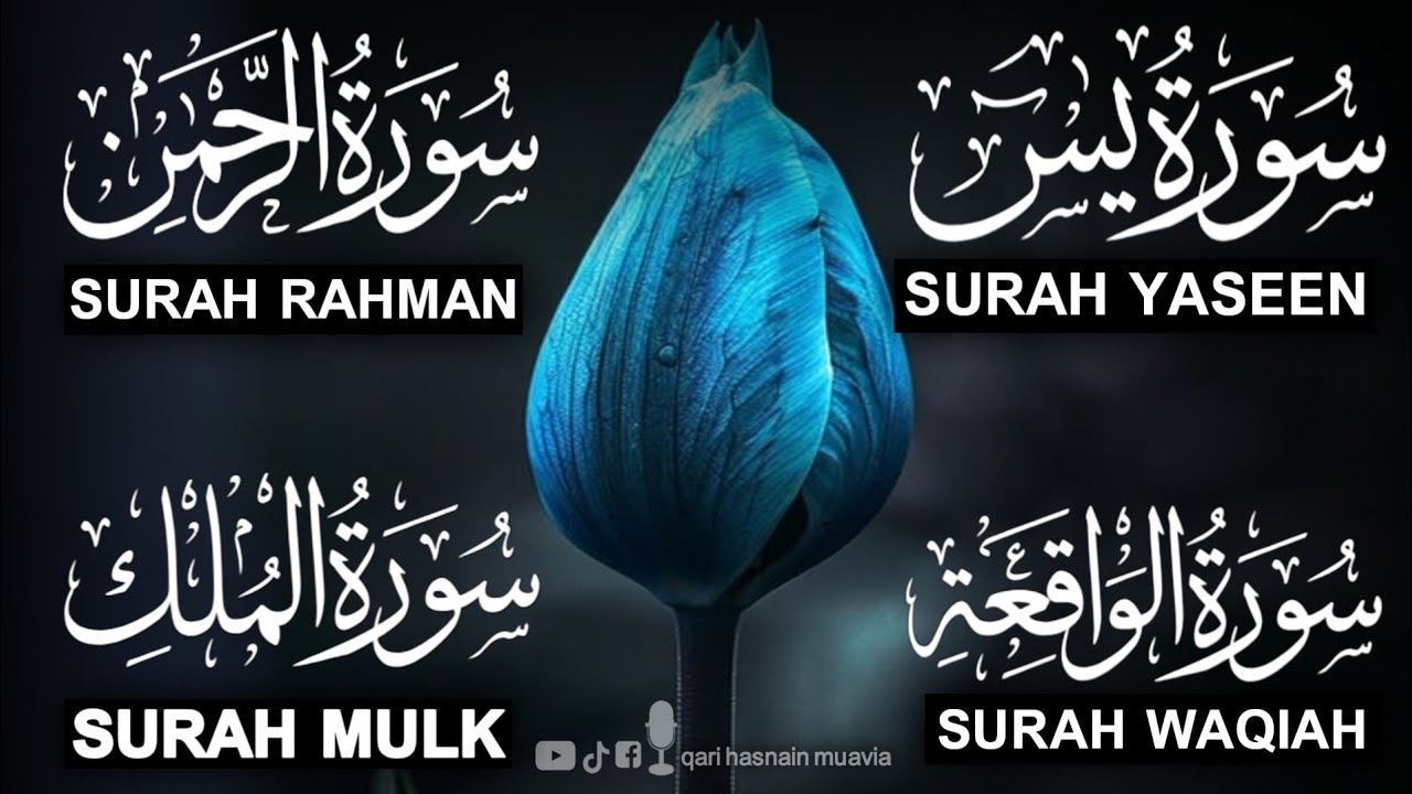 Surah Yasin ❤️ Surah Rahman , Surah Waqiah , Surah Mulk | Ep 363,یس