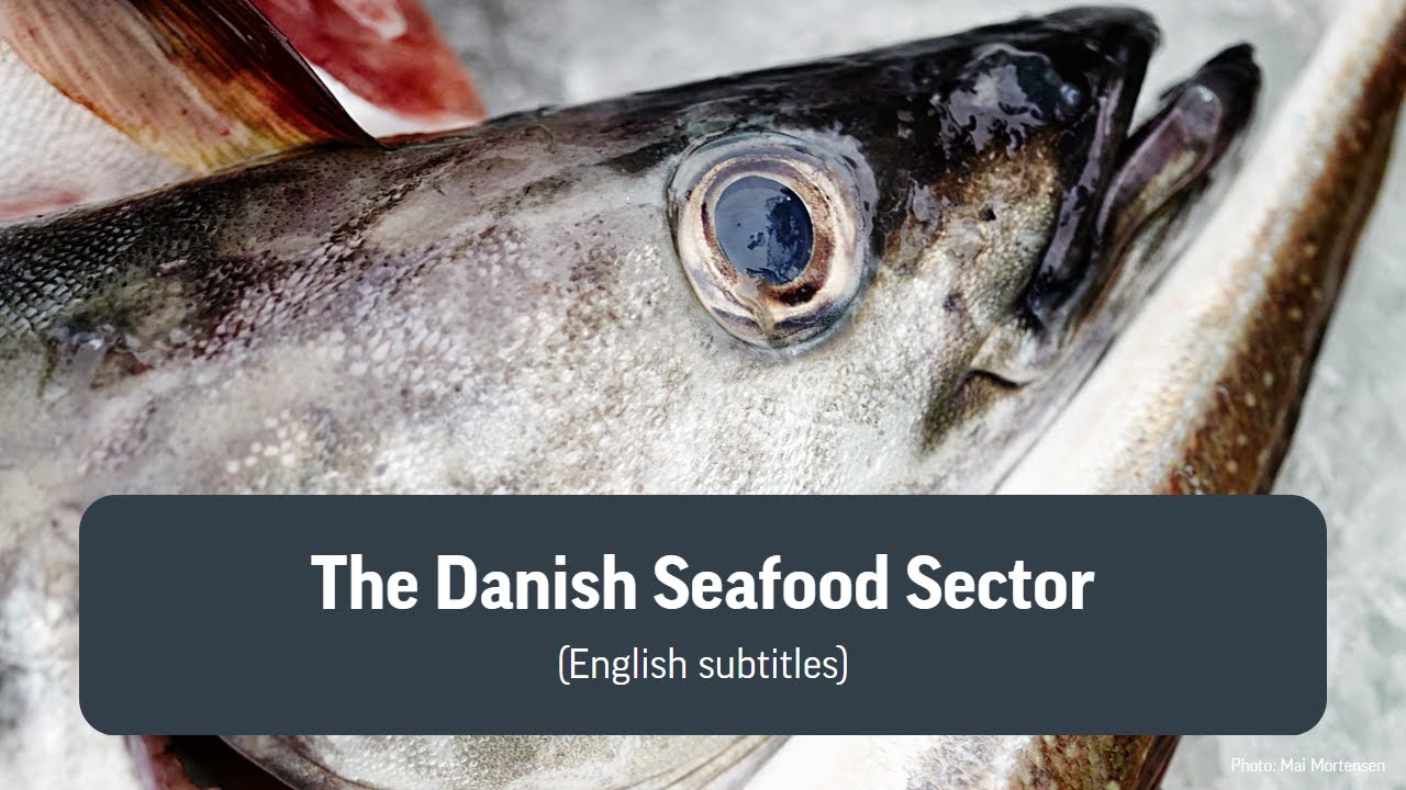 Food Nation branding film: Seafood (English subtitles)
