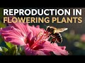 Reproduction in Flowering Plants (General Introduction)  | CBSE Class 12 Biology 