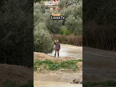 ذورى اصدور Blogger اكسبلور تازة 