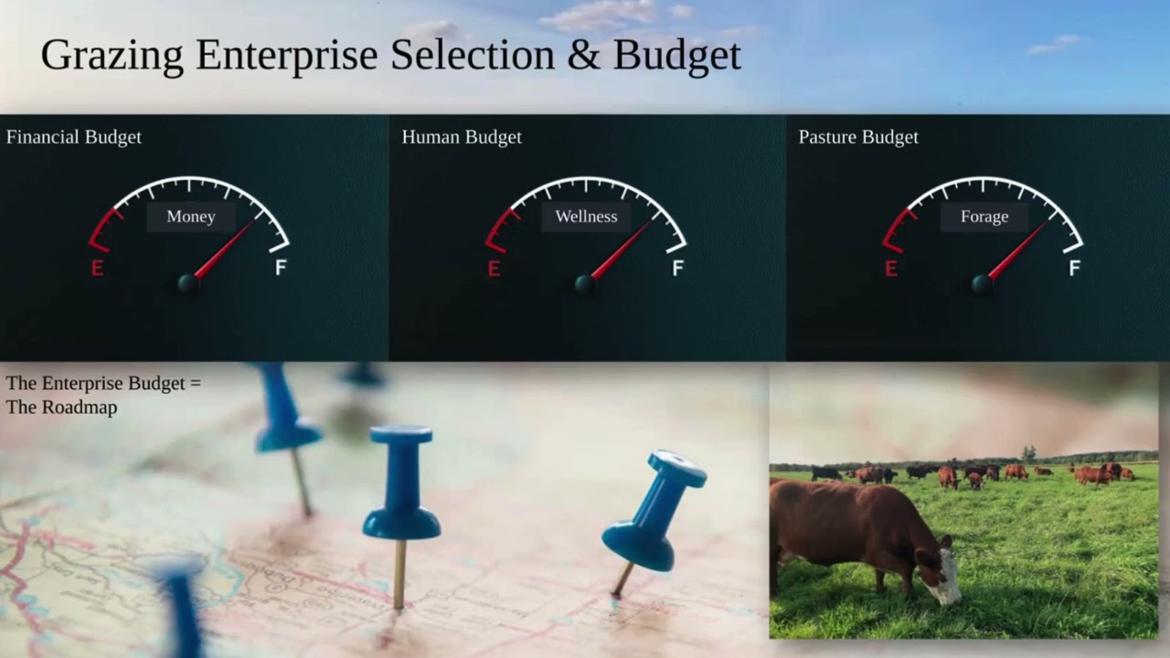 March 4 2025 - Don't Bet Your Bottom Dollar