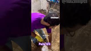 Limpei Eae? Limpeza Da Casa Empoeirada