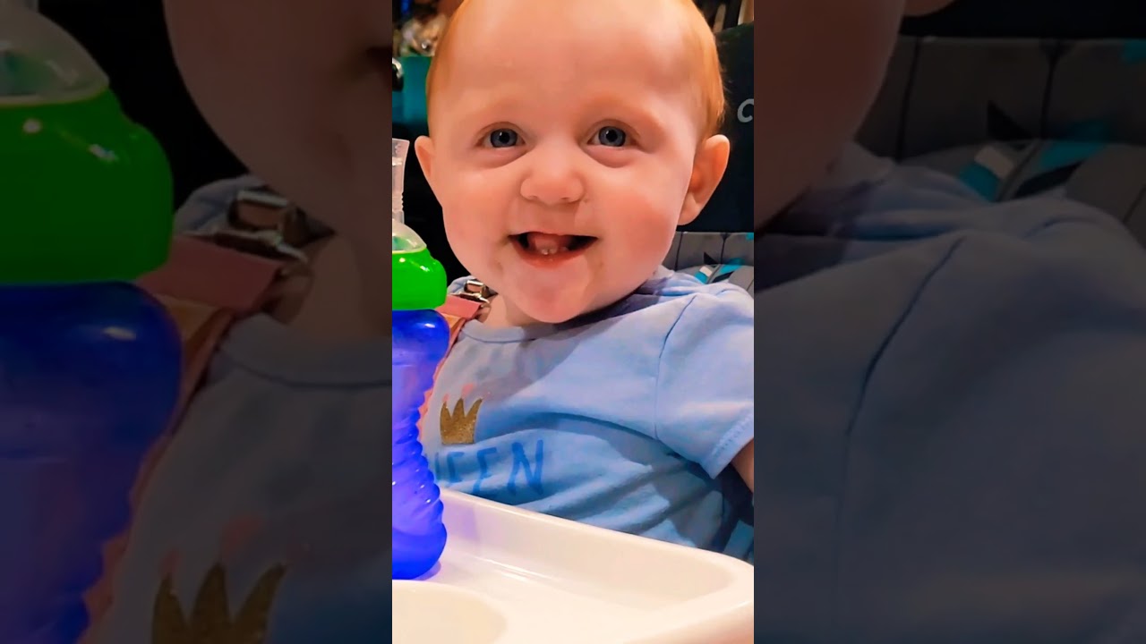 GRACIE AUCTIONEERING FUNNY  