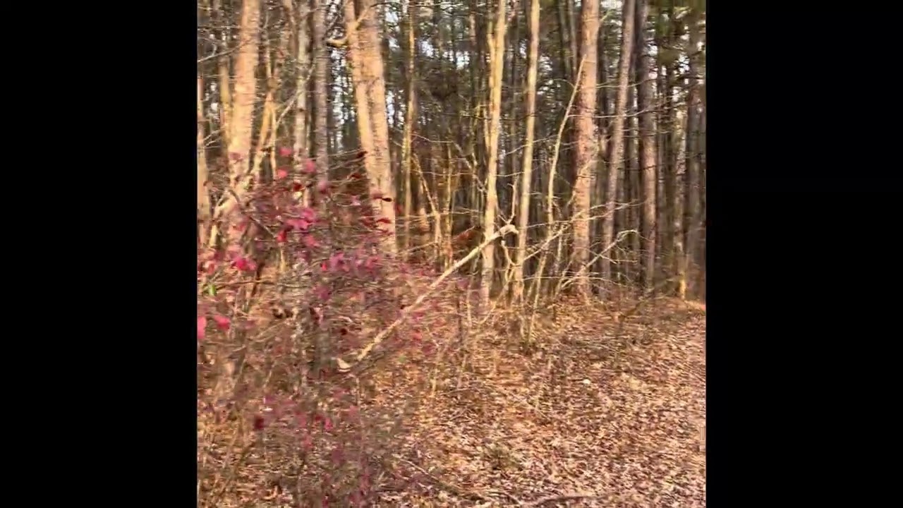 Power, Love and a Sound Mind