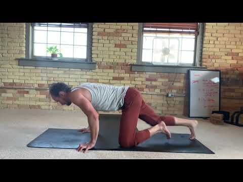 Segmented Push Up Knees and Hips