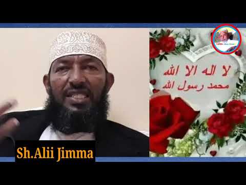 Sheikh Alii Jimmaa Gorisa Ajabi 