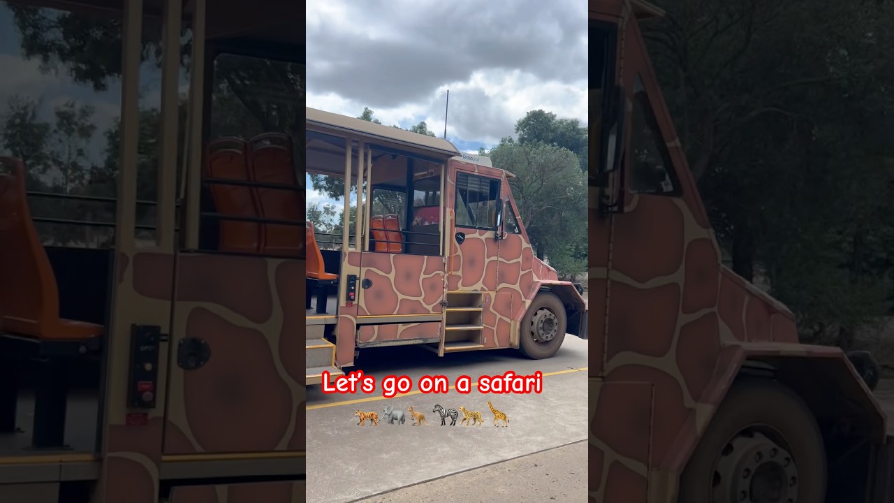 Let’s go on a safari 