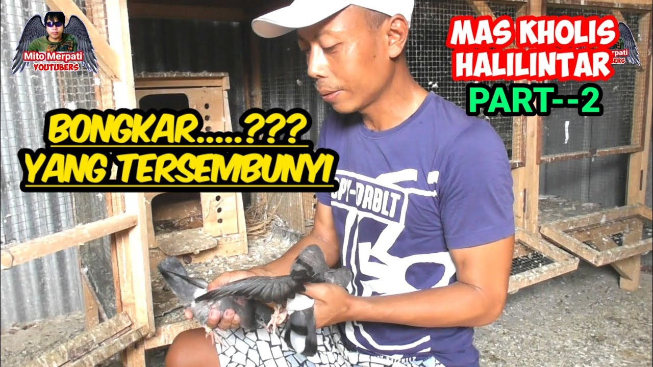 ❤️BONGKAR YANG TERSIMPAN‼️KETERANGAN MERPATINYA MAS KHOLIS HALILINTAR SUPER MEWAH