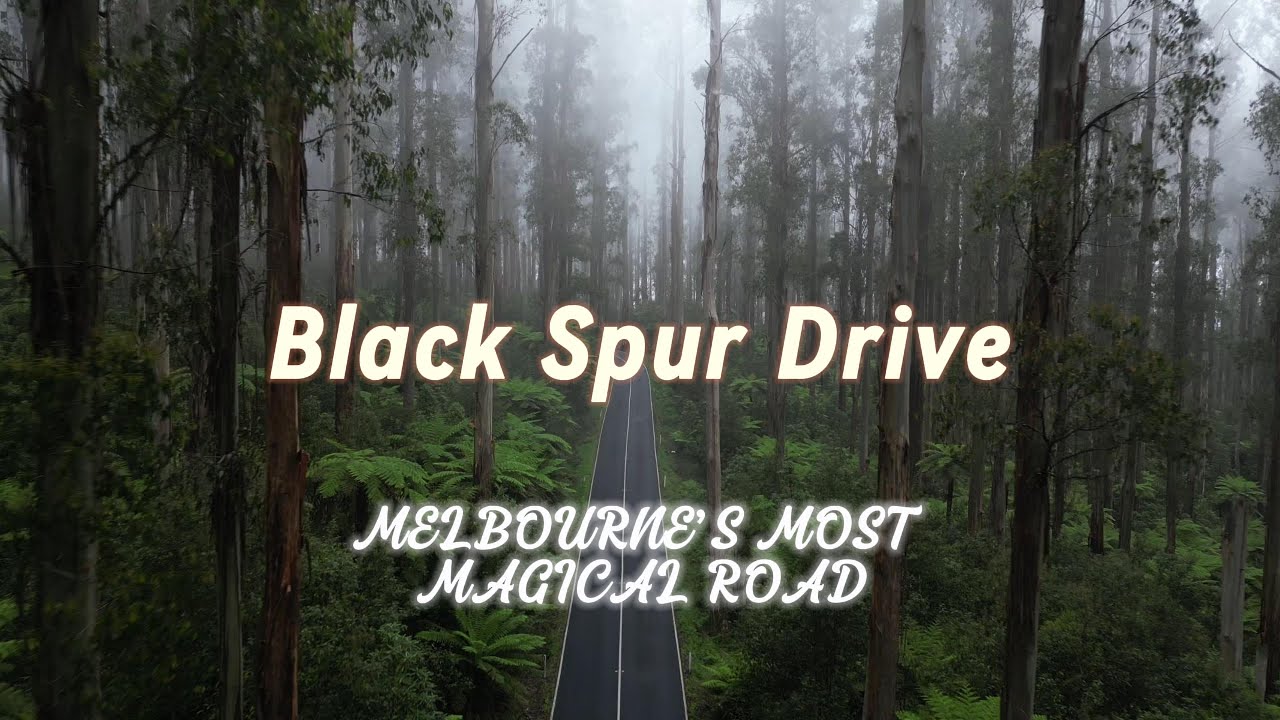 Driving Through Black Spur Drive | Heavenly Drive Near Melbourne (Timelapse + Drone Cinematics)