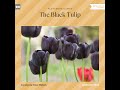 The Black Tulip – Alexandre Dumas (Full Classic Novel Audiobook)