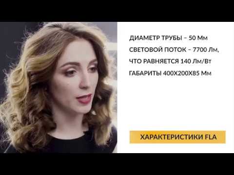 FLA | безопасность