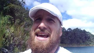 Information Instant Gratification Destroying Your Dreams News