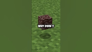 Mojang Forgot About Ancient Debris