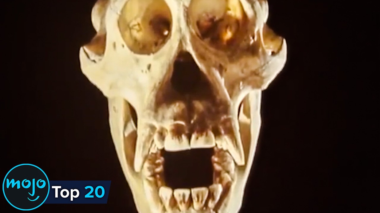 Top 20 Most Controversial Discoveries In History