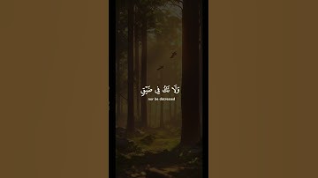 (وَلَئِن صَبَرْتُمْ لَهُوَ خَيْرٌ لِّلصَّابِرِينَ) #قرآن #درر_القرآن #سورة_النحل quran# #اكسبلور