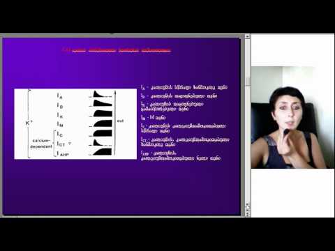 ჰიპოკამპალური ფორმაცია და მისი პროექციები, ლექცია5, ნაწილი2, ეკა ლეფსვერიძე, M005 2 05093