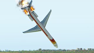 MD-82 упал сразу после взлета из-за столкновения с птицами [XP11]