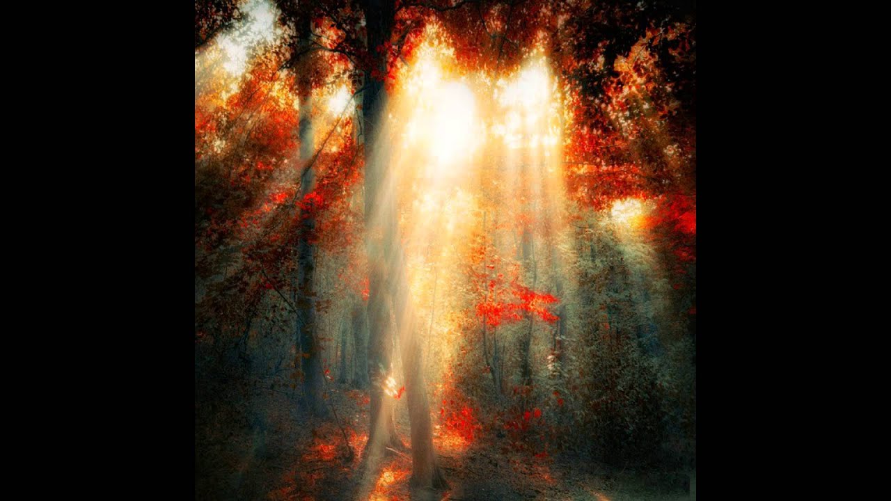 Lowercase Noises - Ambient Songs