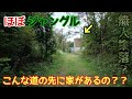【廃道＆廃墟】上空写真で見つけた怪しい複数の建物へ！通行不能の過酷すぎる廃道へ突入
