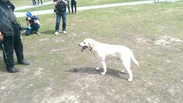 HTC One M8 Video Test 2