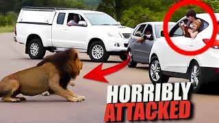 This Horribly Lion Showed No Mercy for These Innocent Zoo Visitor screenshot 1