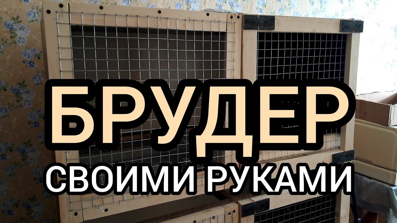 Брудер своими руками. 1 часть