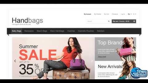 Download Responsive Handbags Store Magento Theme by  Hermes TM