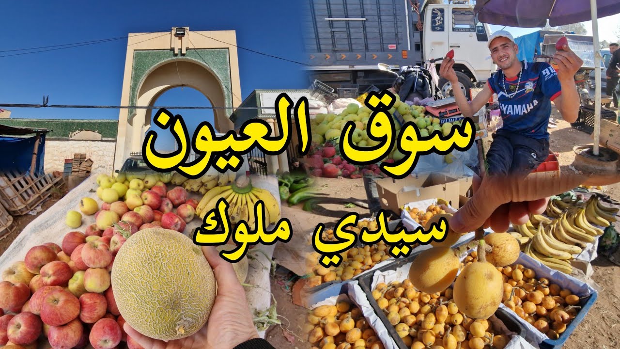 سوق الاسبوعي العيون سيدي ملوك الشرقية أسعار الخضروات والفواكه في الأسواق الشعبية