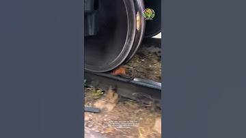 Train Track Switching Process: Good Tools and Machinery Can Increase Work Efficiency