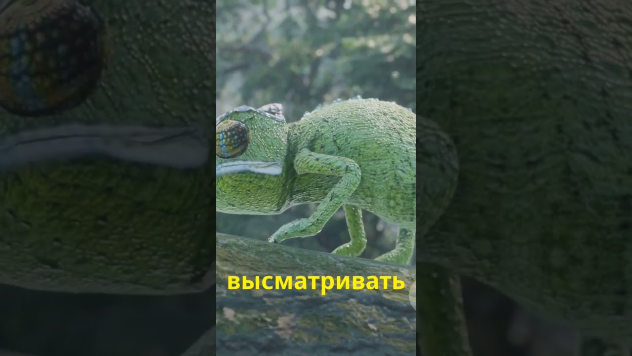 Хамелеоны: Мастера Маскировки и Супергерои Природы!"