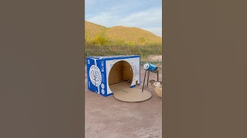 Create Amazing DIY Quail Trap Using Box #shorts