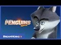 Meet Classified | PENGUINS OF MADAGASCAR