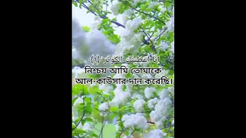 সূরাঃ ১০৮/ আল-কাউসার | Al-Kawthar | سورة الكوثر আয়াতঃ ৩ মাক্কী abdur rahman al ossi
