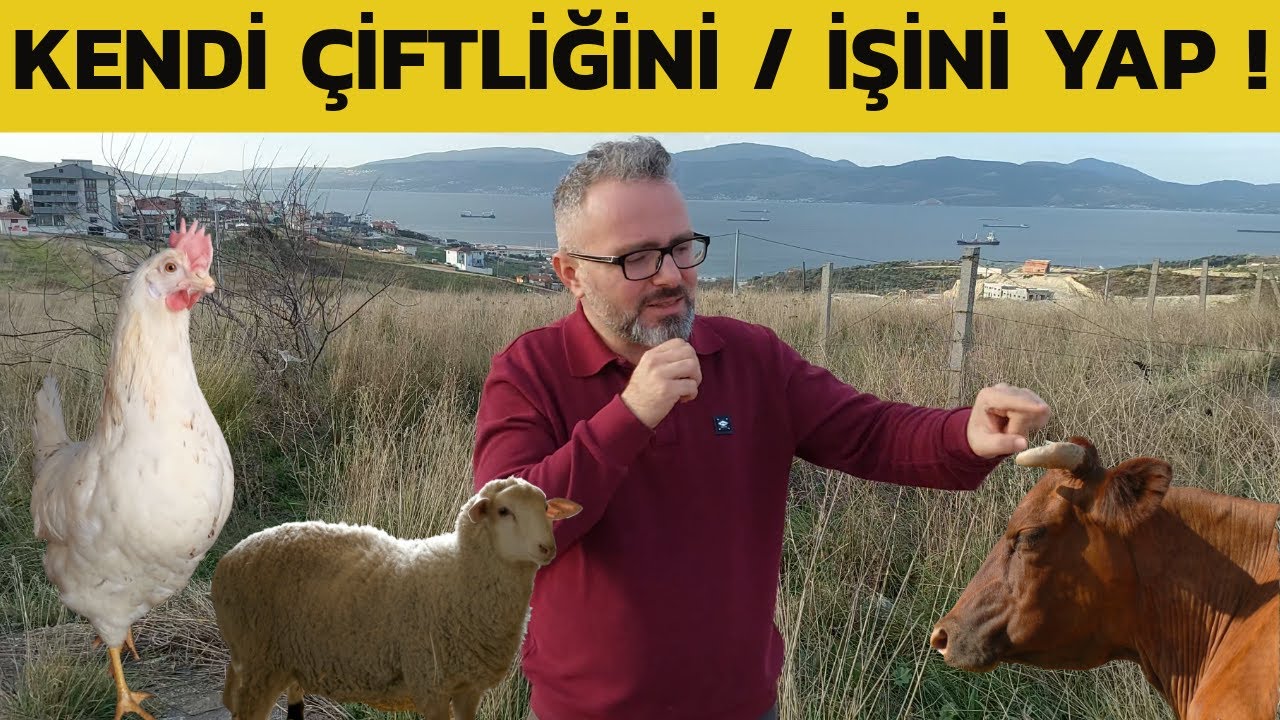 HANGİ HAYVANCILIK TÜRÜNÜ SEÇMELİYİM ? BÖLGENİZE EN DOĞRU İŞİ KURMAK