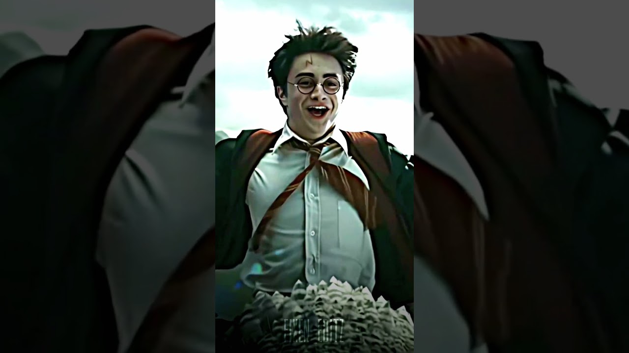 Let's End This Debate | Harry Potter Vs Hermione Granger | FIXEN_EDITZ