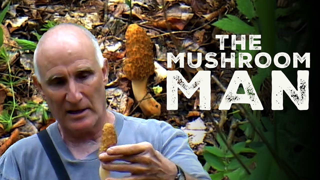 Finding Morels with the Mushroom Man