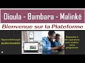 Application d'apprentissage autonome du Bambara - Dioula - Malinké - Niveau Débutant | Zanga School