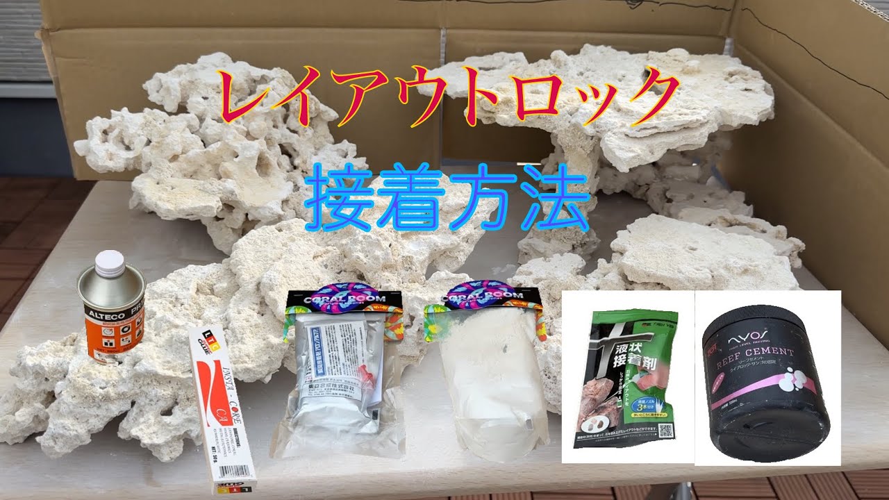 [サンゴ 海水魚水槽]　LPS水槽　レイアウトロック接着方法